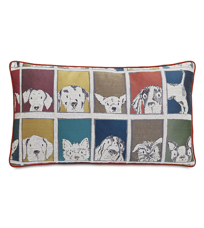 Lucky Dog Multicolored Decorative Pillow