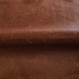 Tudor Cognac Leather Hide Full