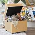 Wilder Storage Box Ottoman