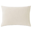 Tegan Matelasse Standard Sham In Ivory